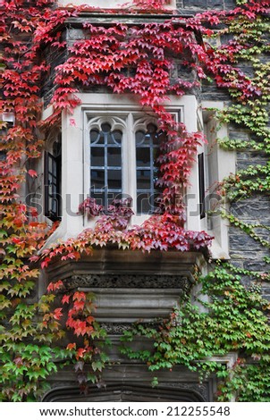 college building bay window with colorful ivy