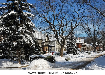 snow covered street with pine tree