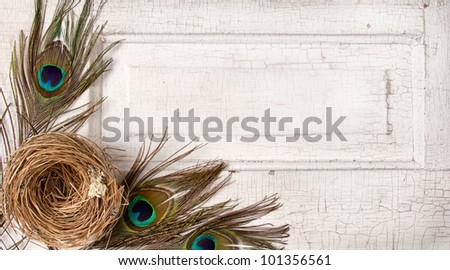 Peacock feathers and a nest on a antique vintage door panel