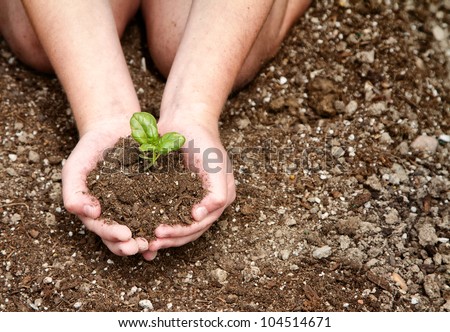 Close-up of child\'s hands holding dirt with a plant in it