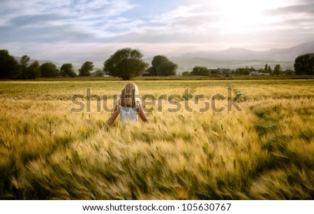 Girl or teen walking through wheat field, facing sunset.