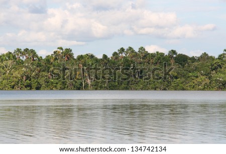 Amazon river, amazon jungle