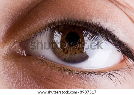 Macro-picture of an eye of the young healthy girl