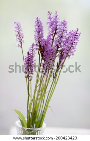 bouquet forest violets