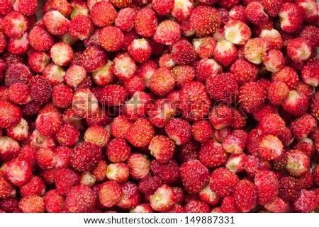 Musk Strawberries Texture