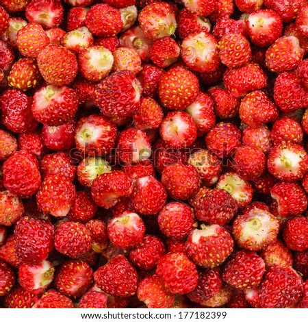 Strawberries Texture, Top View