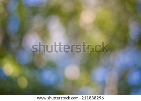 Abstract Natural Colorful Background, Bokeh