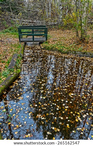 Autumn leaves floating on water of small pond with tree reflections