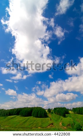 Landscape with green fields and blue sky portrait orientation