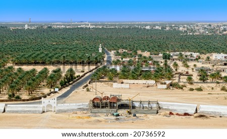 Aerial view to desert oasis at border of Sahara, Tunisia, Africa
