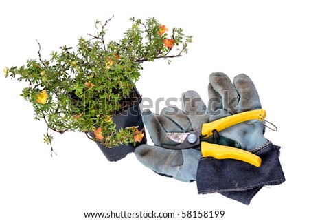 Plant Shears