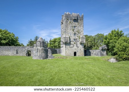 An image of a beautiful ruin near Corrib Ireland