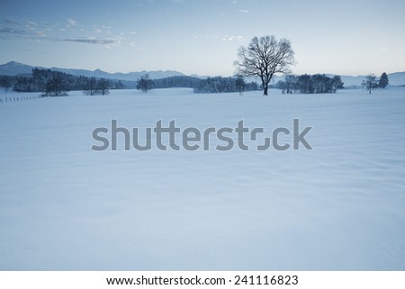 An image of a nice winter scenery