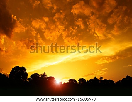 A photography of a beautiful golden sunset