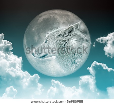 An image of a nice wolf in the moon