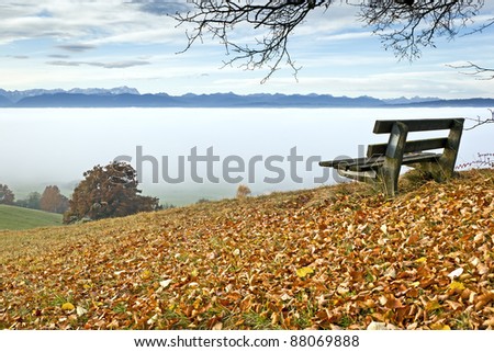 An image of a nice autumn landscape
