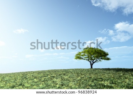 An image of an idyllic green tree under the bright blue sky with space for your content