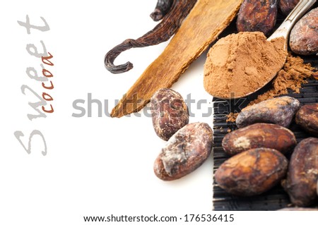 Sweet cocoa powder and cocoa beans with cinnamon and vanilla around isolated on white background