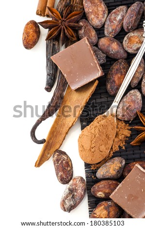 Tea spoon with sweet cocoa powder and cocoa beans, anise stars, chocolate, cinnamon and vanilla sticks around isolated on white background