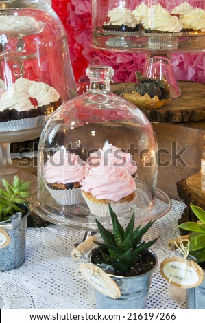 Cupcakes on the candy bar table