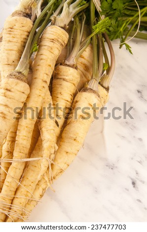Fresh parsley root on marble table