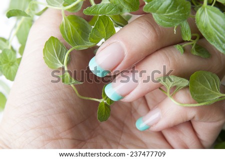 Female nails with beautiful manicure design and fresh mint leaves