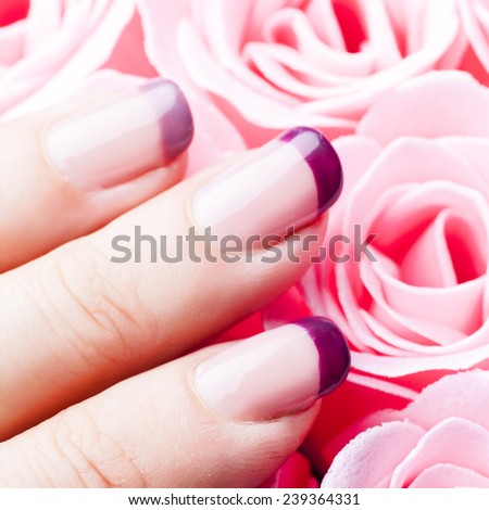 Purple acrylic manicure close up on pink roses background