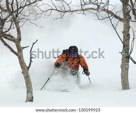 Man skiing through aspen trees in the Utah mountains, USA.