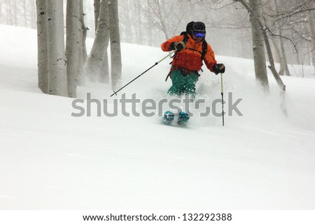 Man skiing powder snow through an aspen forest, Utah, USA.