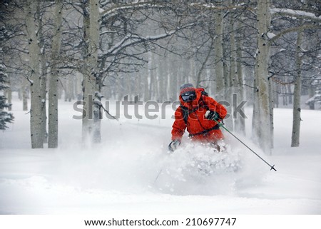 Skier blasting through an aspen forest in a snow storm, Utah, USA.