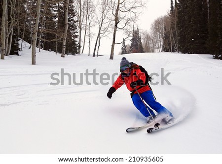 A woman skiing through a forest, Utah, USA.