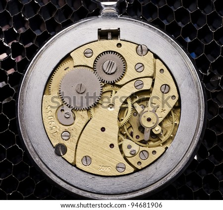 The old watch. The mechanism, gears, springs.