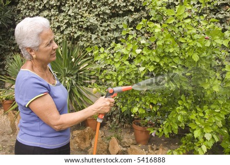 senior lady watering her plants