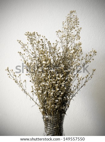 Dried bouquet of white flowers in vase on white background
