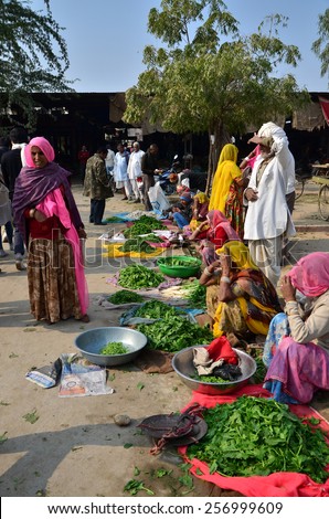 Jodhpur, India - January 2, 2015: Indian people shopping at typical vegetable street market in India on January 2, 2015 in Jodhpur, India.