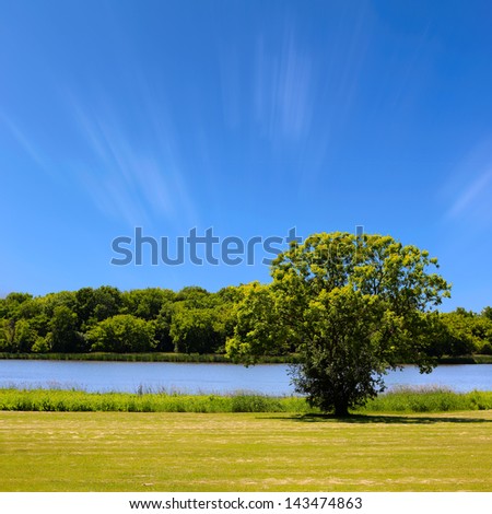 Summer landscape with blue sky, trees and river