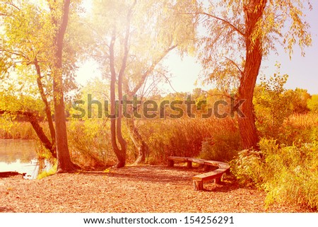 Fall landscape around the lake