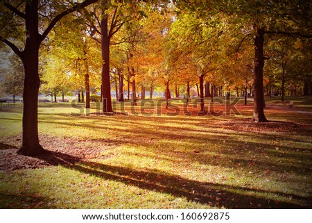 Autumn scene in the park