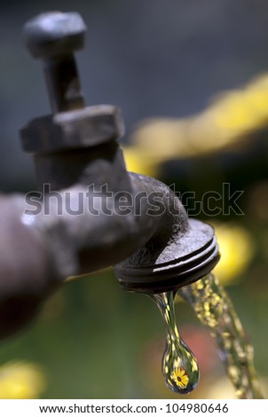 Garden faucet, water tap, running and dripping water with refraction of yellow flowers in water drop.