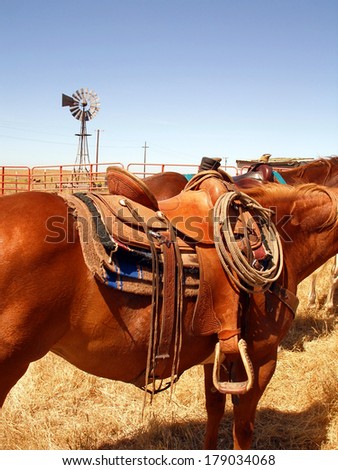 Working ranch horse, rope, and saddle, break time during branding, ranch and windmill in background.