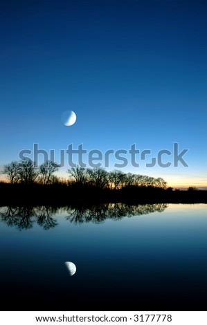 Blue Winter Moon Rising over White Slough, Reflected Silhouette of Bare Oak Trees, Dawn, Central Valley, California
