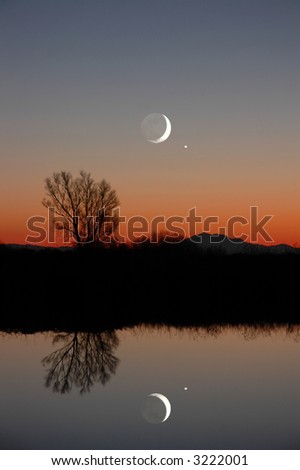 Winter Moon, Venus, and Silhouette of Lone Willow Tree, Reflected on Quiet Slough,Central California