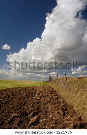 Rich California Farm Land and Deeply Plowed Furrows, Beneath Deep Blue Spring Sky and Dramatic Cumulus Clouds
