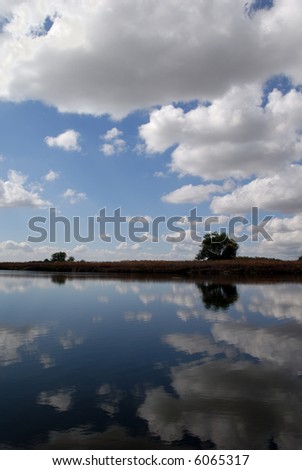 Reflection of White Clouds in Wildlife Pond
