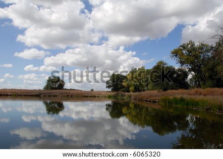 Reflection of White Clouds in Wildlife Pond