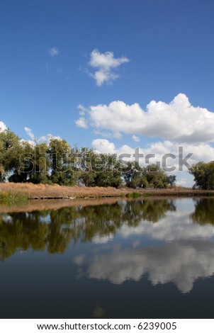 Reflection of White Clouds and Trees in Wildlife Pond
