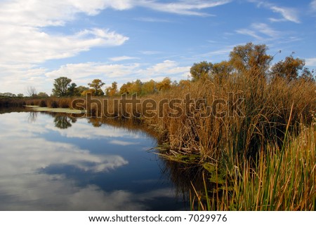 Lacy Clouds Reflected in Wildlife Pond