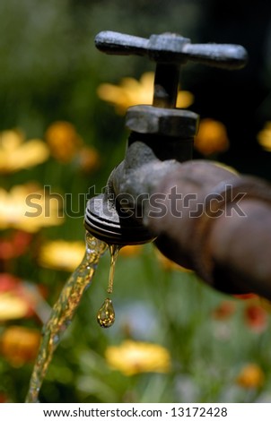 Selective focus macro of dripping spigot against Spring flower garden