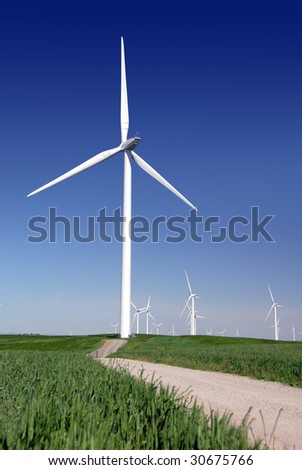 Stark White Electrical Power Generating Windmills, Turbines on Rolling Hills of Green Wheat, Rio Vista, California