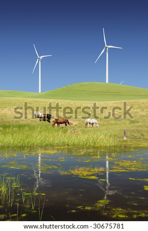 Reflection of Stark White Electrical Power Generating Windmills, Turbines on Rolling Hills of Green, Livestock, Cattle, Horses, Rio Vista, California